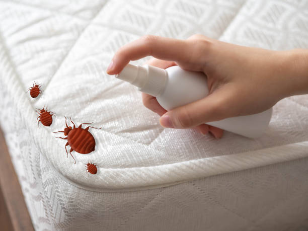 Best Flea Control Services  in Midway, NC